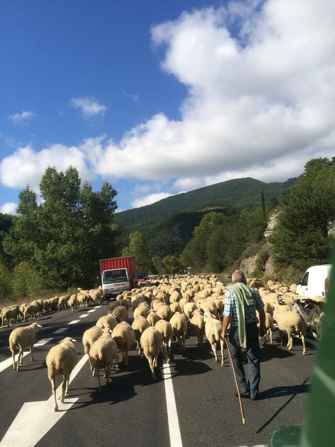 Chambres D'Hotes Ferme De Gayri Vielle-Aure Kültér fotó